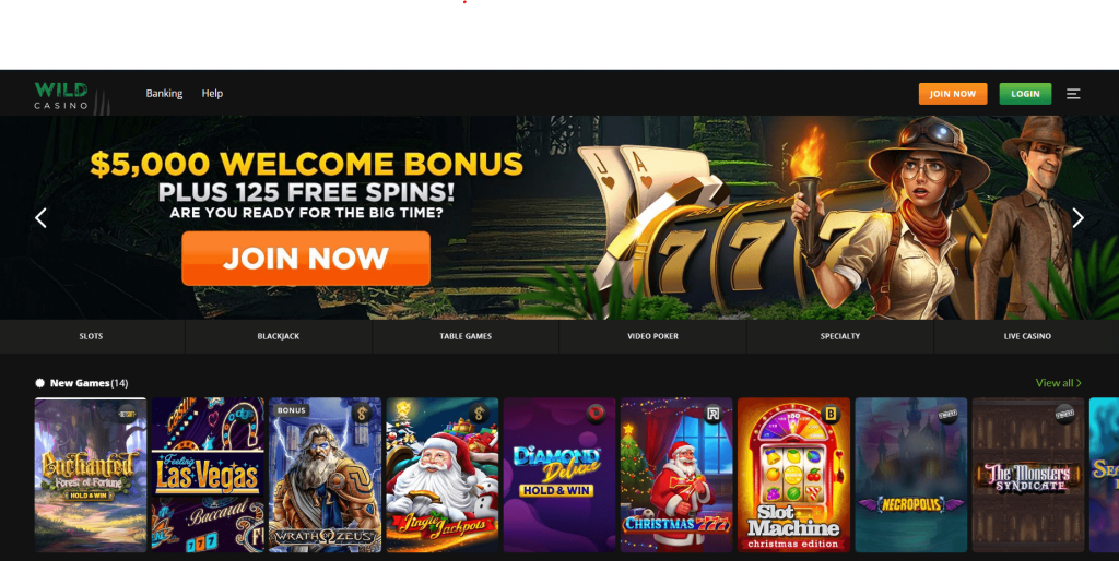 Wild Casino Slots and Games